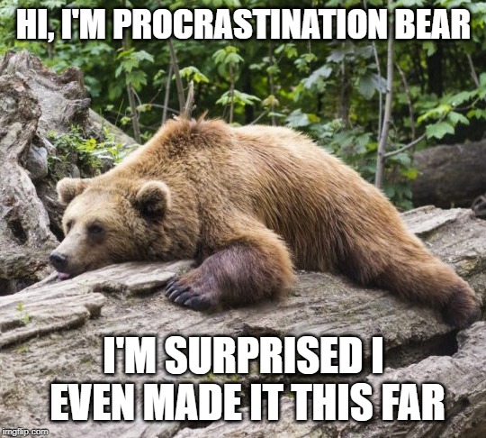 He was supposed to be on that log last week | HI, I'M PROCRASTINATION BEAR; I'M SURPRISED I EVEN MADE IT THIS FAR | image tagged in procrastination bear,memes | made w/ Imgflip meme maker