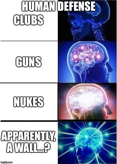Expanding Brain Meme | HUMAN DEFENSE; CLUBS; GUNS; NUKES; APPARENTLY, A WALL...? | image tagged in memes,expanding brain,lol so funny,yeet,awesome,so true memes | made w/ Imgflip meme maker