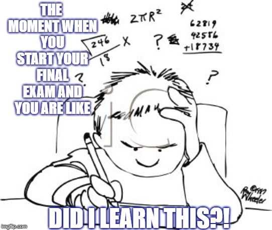 Did I Learn This?! | THE MOMENT WHEN YOU START YOUR FINAL EXAM AND YOU ARE LIKE; DID I LEARN THIS?! | image tagged in school,finals week,college,tests,school work,final exams | made w/ Imgflip meme maker