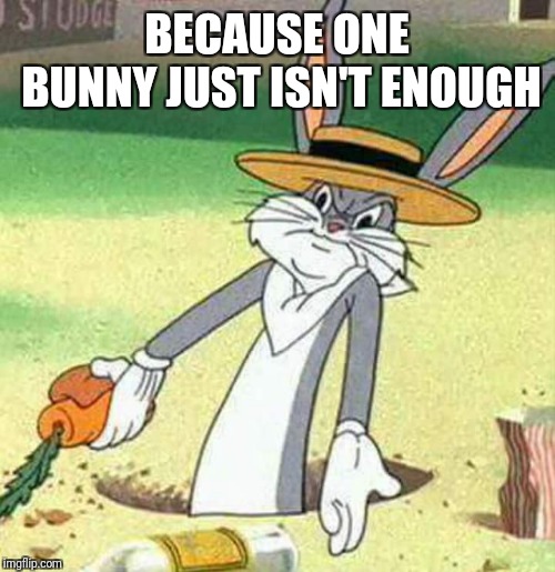 Bugs Bunny  | BECAUSE ONE BUNNY JUST ISN'T ENOUGH | image tagged in bugs bunny | made w/ Imgflip meme maker