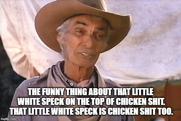 THE FUNNY THING ABOUT THAT LITTLE WHITE SPECK ON THE TOP OF CHICKEN SHIT. THAT LITTLE WHITE SPECK IS CHICKEN SHIT TOO. | made w/ Imgflip meme maker