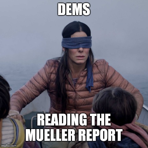 Bird Box | DEMS; READING THE MUELLER REPORT | image tagged in memes,bird box | made w/ Imgflip meme maker