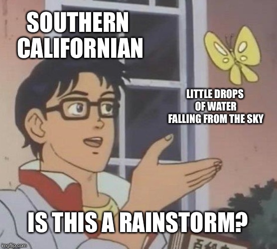 Is This A Pigeon | SOUTHERN CALIFORNIAN; LITTLE DROPS OF WATER FALLING FROM THE SKY; IS THIS A RAINSTORM? | image tagged in memes,is this a pigeon | made w/ Imgflip meme maker