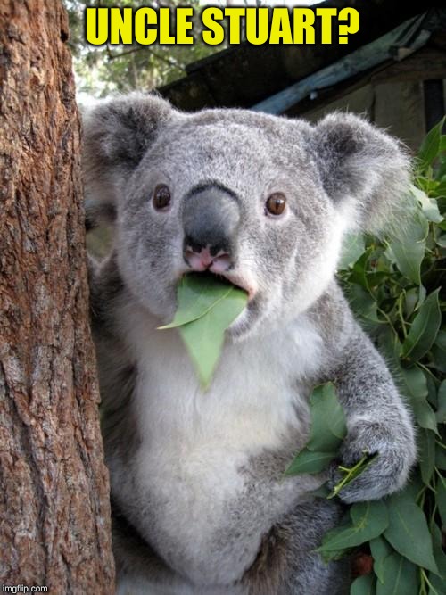 Surprised Koala Meme | UNCLE STUART? | image tagged in memes,surprised koala | made w/ Imgflip meme maker