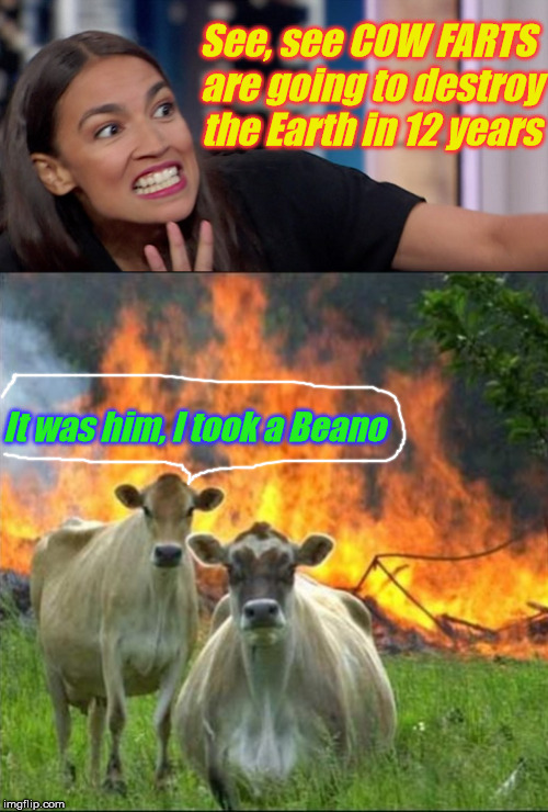 Global Warming | See, see COW FARTS are going to destroy the Earth in 12 years; It was him, I took a Beano | image tagged in aoc | made w/ Imgflip meme maker