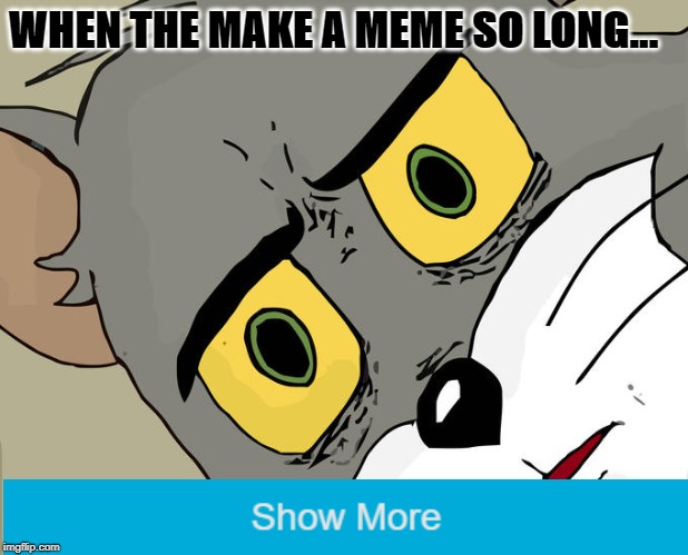 Unsettled Tom Meme | WHEN THE MAKE A MEME SO LONG... | image tagged in memes,unsettled tom | made w/ Imgflip meme maker