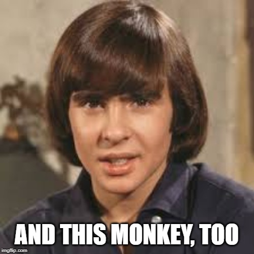 davy jones | AND THIS MONKEY, TOO | image tagged in davy jones | made w/ Imgflip meme maker