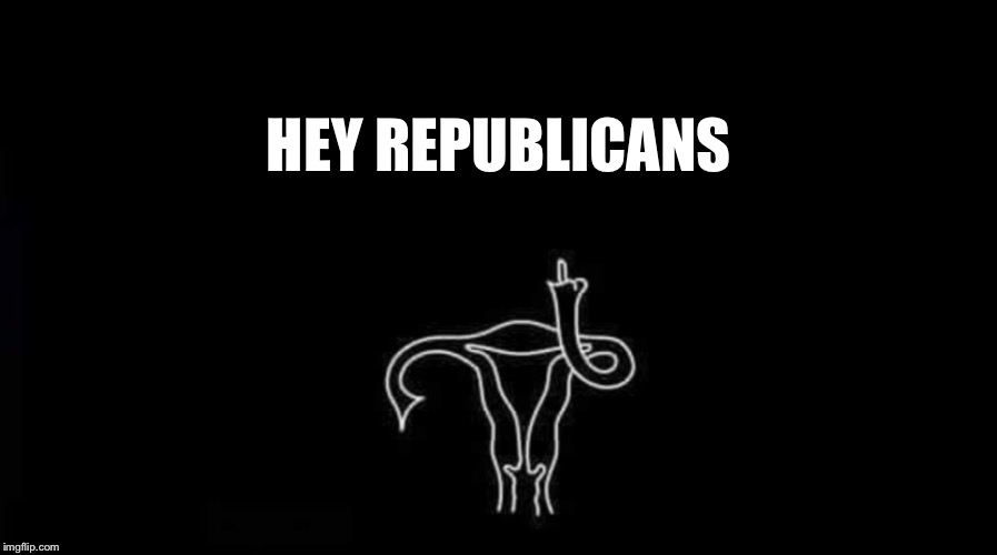 HEY REPUBLICANS | image tagged in roe versus wade,womans rights,right to choose,banning abortion,abortion | made w/ Imgflip meme maker