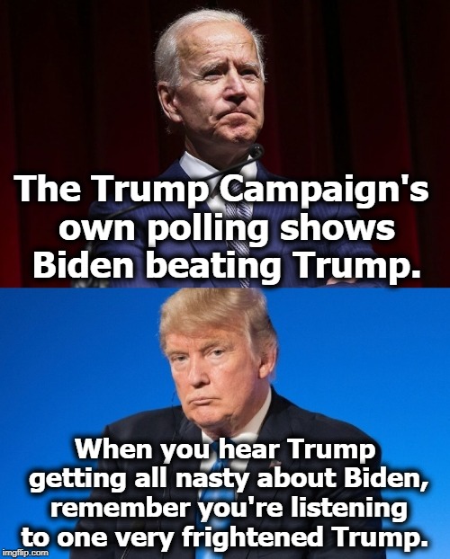 The Trump Campaign's own polling shows Biden beating Trump. When you hear Trump getting all nasty about Biden, remember you're listening to one very frightened Trump. | image tagged in trump,biden,polls,winning,fear | made w/ Imgflip meme maker