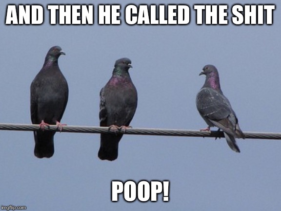 AND THEN HE CALLED THE SHIT; POOP! | image tagged in poop,pigeon,saskatoon,bridge,city,awwww shhhhit | made w/ Imgflip meme maker