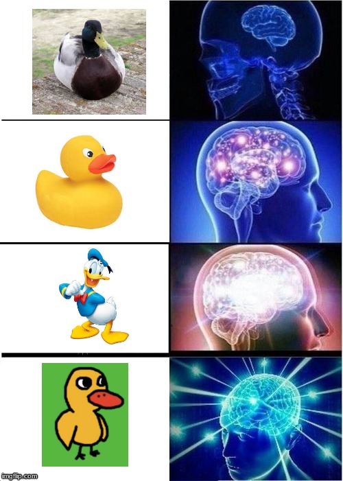 Expanding Brain | image tagged in memes,expanding brain | made w/ Imgflip meme maker