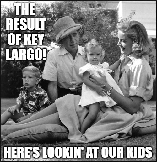 Here's Lookin' at You Kids | THE RESULT OF KEY LARGO! HERE'S LOOKIN' AT OUR KIDS | image tagged in vince vance,bogey and bacall,we had it all,key largo,here's lookin at you kid,humphrey bogart | made w/ Imgflip meme maker