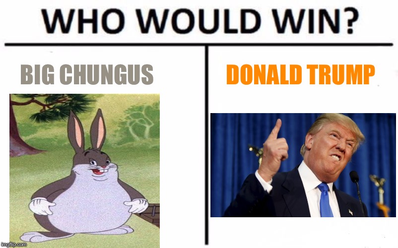 Who Would Win? | BIG CHUNGUS; DONALD TRUMP | image tagged in memes,who would win | made w/ Imgflip meme maker