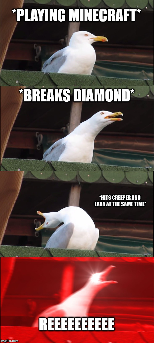 Inhaling Seagull Meme | *PLAYING MINECRAFT*; *BREAKS DIAMOND*; *HITS CREEPER AND LAVA AT THE SAME TIME*; REEEEEEEEEE | image tagged in memes,inhaling seagull | made w/ Imgflip meme maker