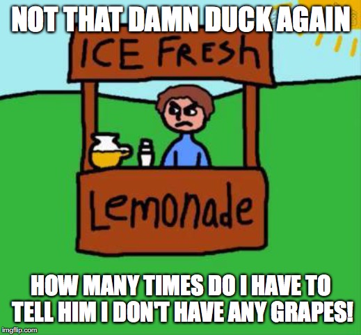 Meme Pfp Duck : 25+ Best Memes About Duck | Duck Memes : Whether it is