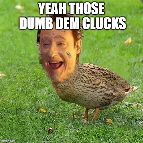 The Data Ducky | YEAH THOSE DUMB DEM CLUCKS | image tagged in the data ducky | made w/ Imgflip meme maker