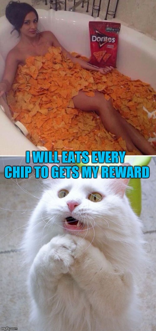 I can't waits to see my reward | I WILL EATS EVERY CHIP TO GETS MY REWARD | image tagged in i can haz,memes,44colt,doritos,food,reward | made w/ Imgflip meme maker