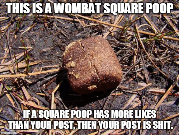 Wombat square poop is better than your post | THIS IS A WOMBAT SQUARE POOP; IF A SQUARE POOP HAS MORE LIKES THAN YOUR POST, THEN YOUR POST IS SHIT. | image tagged in facebook problems,poop,square | made w/ Imgflip meme maker