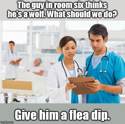 were fleas | The guy in room six thinks he’s a wolf. What should we do? Give him a flea dip. | image tagged in er doctors | made w/ Imgflip meme maker
