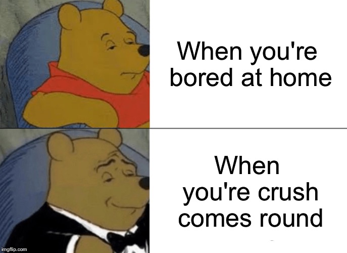 Tuxedo Winnie The Pooh Meme | When you're bored at home; When you're crush comes round | image tagged in memes,tuxedo winnie the pooh | made w/ Imgflip meme maker