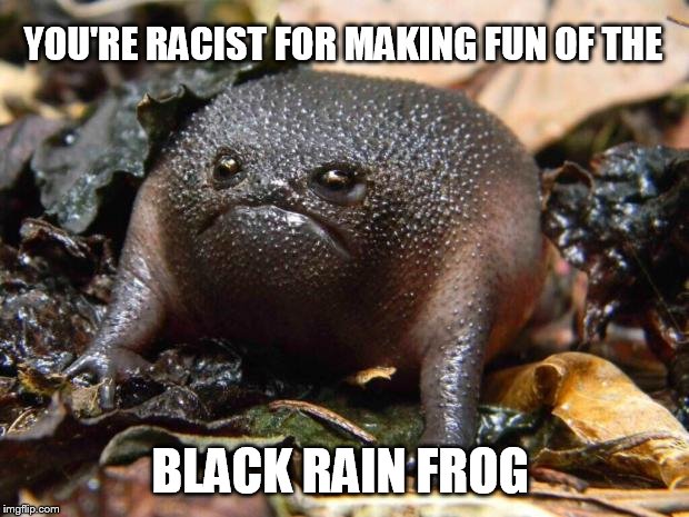 as offended as it is ugly | YOU'RE RACIST FOR MAKING FUN OF THE BLACK RAIN FROG | image tagged in black rain frog | made w/ Imgflip meme maker