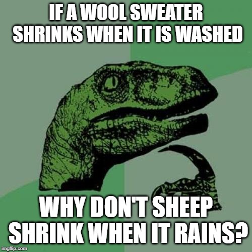 The Sweater Dilemma | IF A WOOL SWEATER SHRINKS WHEN IT IS WASHED; WHY DON'T SHEEP SHRINK WHEN IT RAINS? | image tagged in memes,philosoraptor,sheep,sweater,wool | made w/ Imgflip meme maker