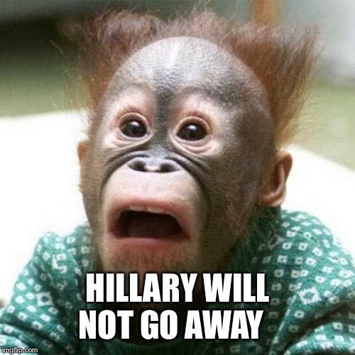 Shocked Monkey | HILLARY WILL NOT GO AWAY | image tagged in shocked monkey | made w/ Imgflip meme maker