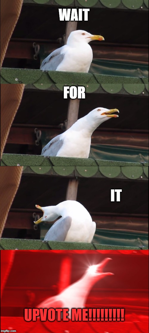 When it's clear I put zero effort into the beg. | WAIT; FOR; IT; UPVOTE ME!!!!!!!!! | image tagged in memes,inhaling seagull,begging,upvotes | made w/ Imgflip meme maker