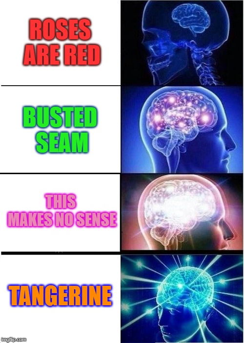 Move over Edgar Allen Poe! I'm taking over!  ? | ROSES ARE RED; BUSTED SEAM; THIS MAKES NO SENSE; TANGERINE | image tagged in memes,expanding brain,nixieknox,poetry | made w/ Imgflip meme maker