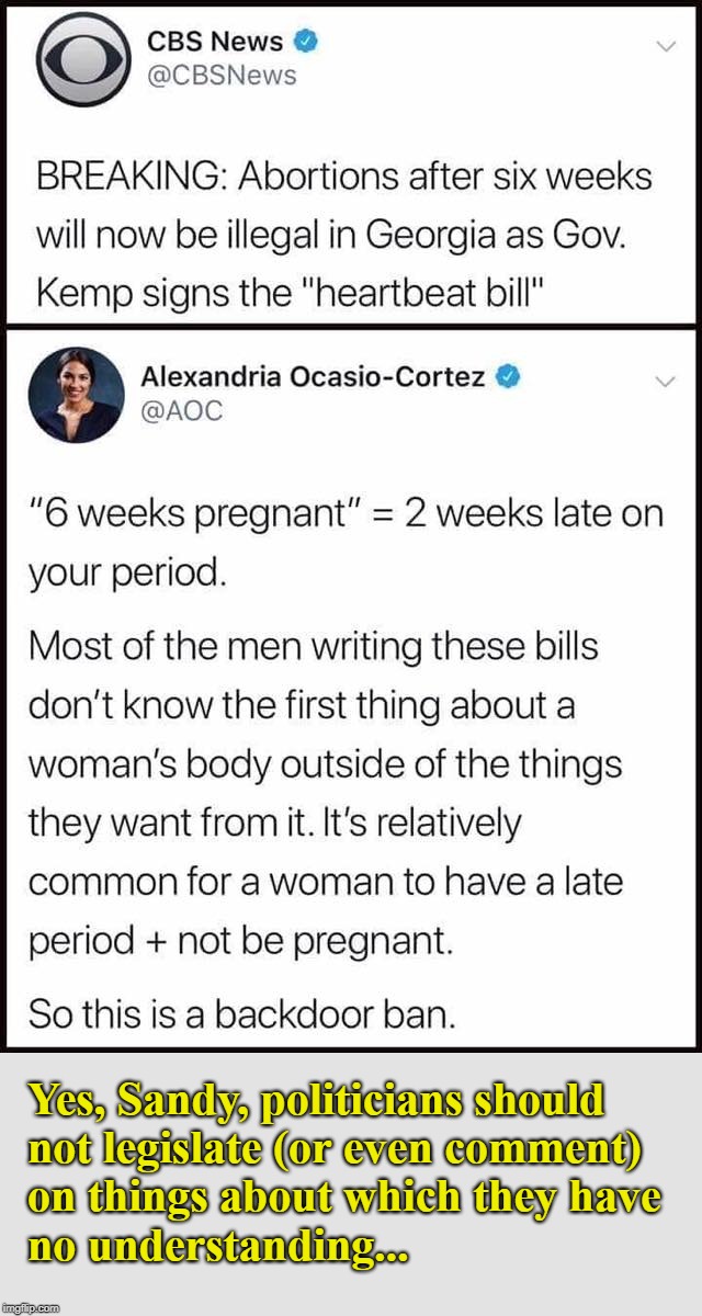 Sandy tastes her own medicine and doesn't like it... | Yes, Sandy, politicians should not legislate (or even comment) on things about which they have no understanding... | image tagged in aoc,alexandria ocasio-cortez,abortion,politicians | made w/ Imgflip meme maker