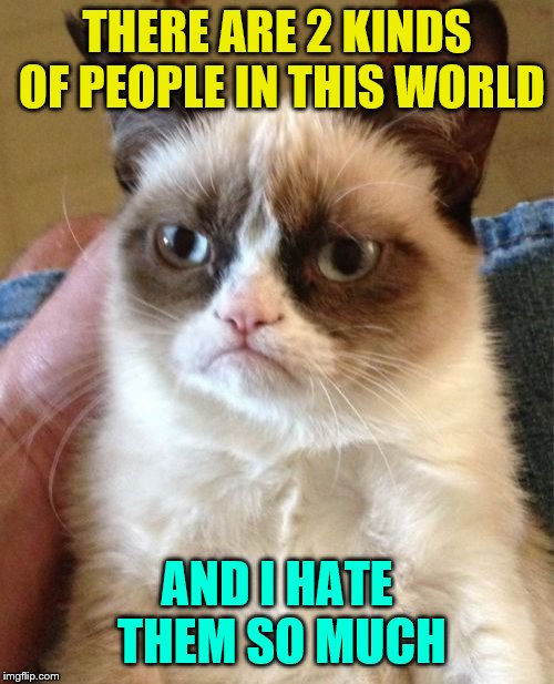 Grumpy Cat Meme | THERE ARE 2 KINDS OF PEOPLE IN THIS WORLD; AND I HATE THEM SO MUCH | image tagged in memes,grumpy cat | made w/ Imgflip meme maker