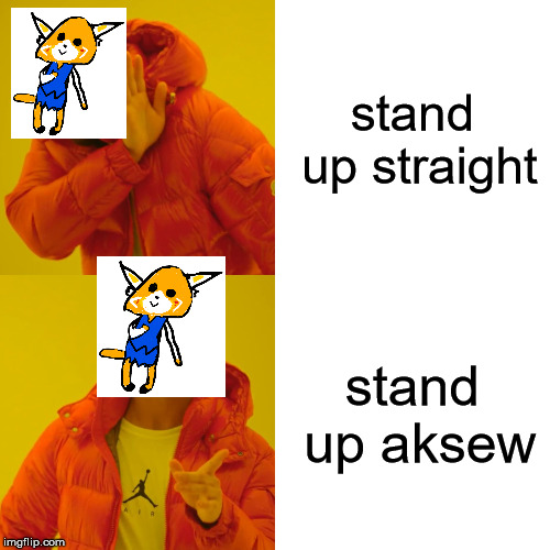 Drake Hotline Bling | stand up straight; stand up aksew | image tagged in memes,drake hotline bling | made w/ Imgflip meme maker