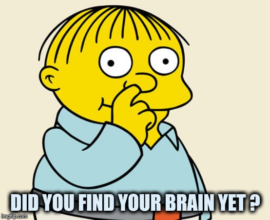 Ralphie Diggin' | DID YOU FIND YOUR BRAIN YET ? | image tagged in ralphie diggin' | made w/ Imgflip meme maker