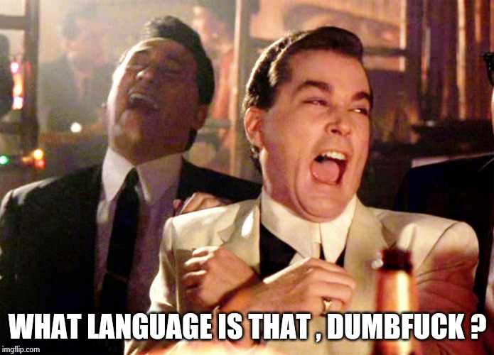 Good Fellas Hilarious Meme | WHAT LANGUAGE IS THAT , DUMBF**K ? | image tagged in memes,good fellas hilarious | made w/ Imgflip meme maker