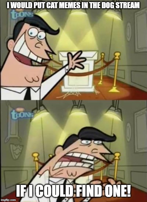 Fairly odd parents | I WOULD PUT CAT MEMES IN THE DOG STREAM IF I COULD FIND ONE! | image tagged in fairly odd parents | made w/ Imgflip meme maker