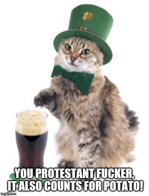 Irish cat | YOU PROTESTANT F**KER, IT ALSO COUNTS FOR POTATO! | image tagged in irish cat | made w/ Imgflip meme maker