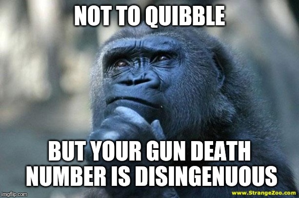 Deep Thoughts | NOT TO QUIBBLE BUT YOUR GUN DEATH NUMBER IS DISINGENUOUS | image tagged in deep thoughts | made w/ Imgflip meme maker