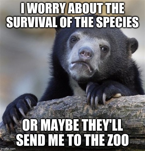 Confession Bear | I WORRY ABOUT THE SURVIVAL OF THE SPECIES; OR MAYBE THEY'LL SEND ME TO THE ZOO | image tagged in memes,confession bear | made w/ Imgflip meme maker