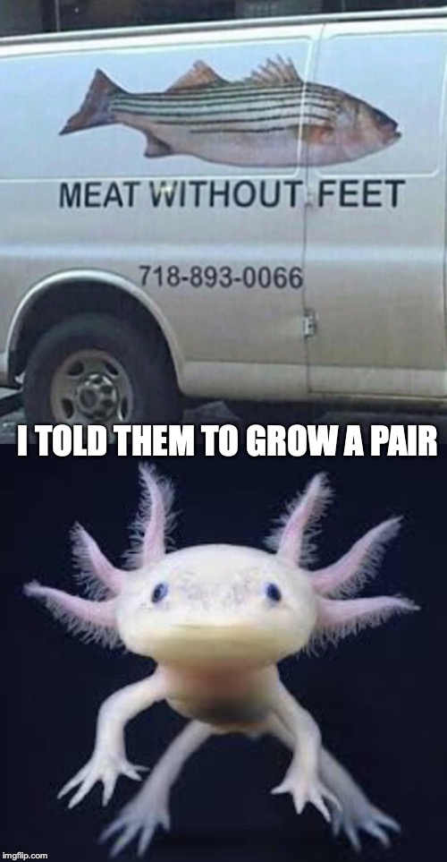 Saved By Evolution | I TOLD THEM TO GROW A PAIR | image tagged in fish,meat,feet,evolution,escape | made w/ Imgflip meme maker