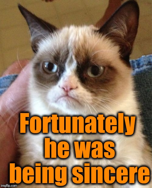 Grumpy Cat Meme | Fortunately he was being sincere | image tagged in memes,grumpy cat | made w/ Imgflip meme maker