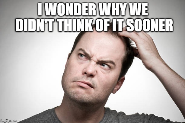 confused | I WONDER WHY WE DIDN'T THINK OF IT SOONER | image tagged in confused | made w/ Imgflip meme maker