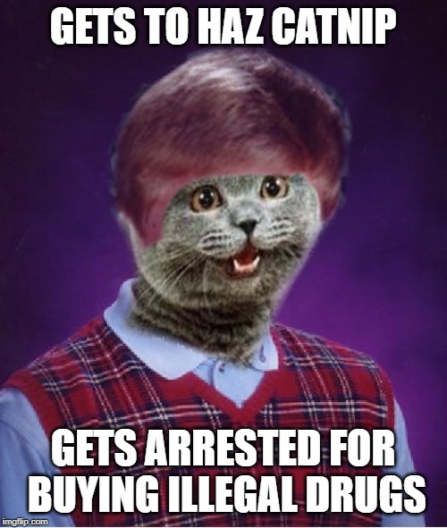I haz Bad Luck | GETS TO HAZ CATNIP GETS ARRESTED FOR BUYING ILLEGAL DRUGS | image tagged in i haz bad luck | made w/ Imgflip meme maker