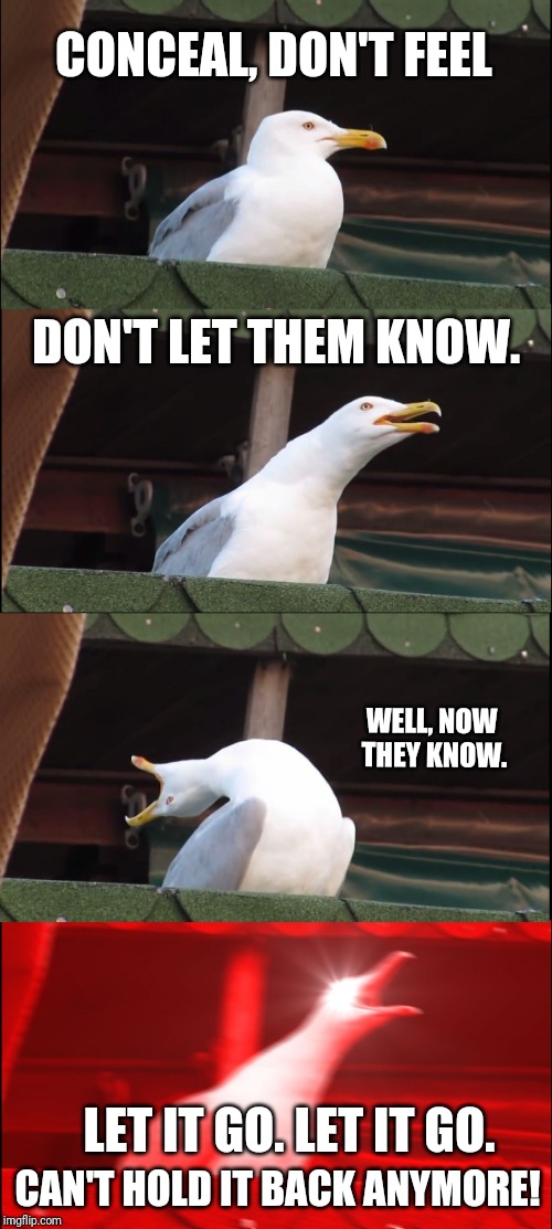 Inhaling Seagull Meme | CONCEAL, DON'T FEEL; DON'T LET THEM KNOW. WELL, NOW THEY KNOW. LET IT GO. LET IT GO. CAN'T HOLD IT BACK ANYMORE! | image tagged in memes,inhaling seagull | made w/ Imgflip meme maker