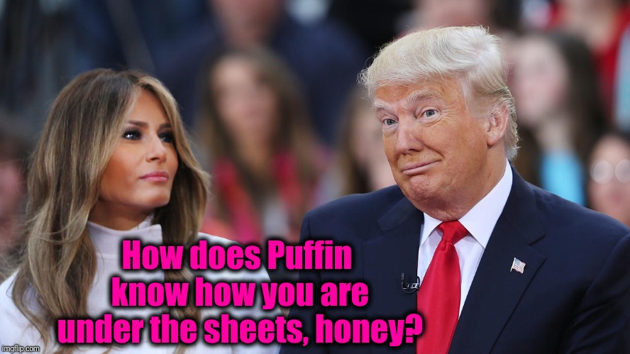 Donald and Melania Trump | How does Puffin know how you are under the sheets, honey? | image tagged in donald and melania trump | made w/ Imgflip meme maker