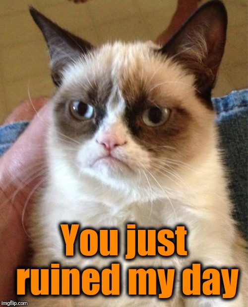 Grumpy Cat Meme | You just ruined my day | image tagged in memes,grumpy cat | made w/ Imgflip meme maker