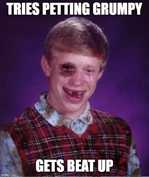 Beat-up Bad Luck Brian | TRIES PETTING GRUMPY GETS BEAT UP | image tagged in beat-up bad luck brian | made w/ Imgflip meme maker