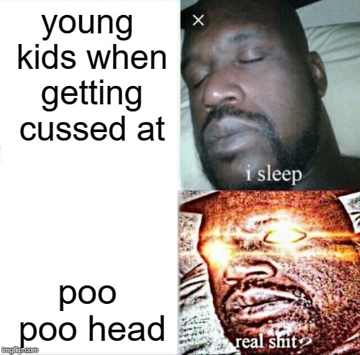 kids are stupid | young kids when getting cussed at; poo poo head | image tagged in memes,sleeping shaq | made w/ Imgflip meme maker
