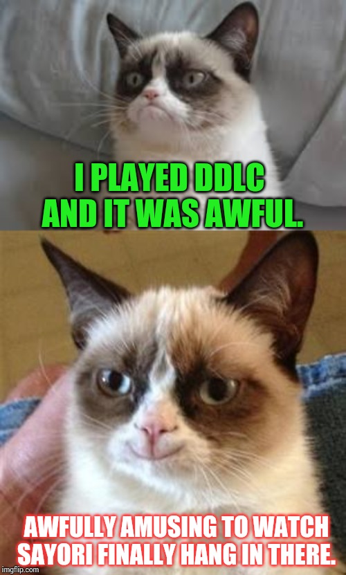 Let's turn that negativity into positivity with Grumpy Cat. | I PLAYED DDLC AND IT WAS AWFUL. AWFULLY AMUSING TO WATCH SAYORI FINALLY HANG IN THERE. | image tagged in grumpy cat smile,grumpy cat,ddlc | made w/ Imgflip meme maker