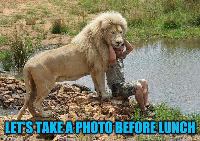 Nice Kitty... | LET'S TAKE A PHOTO BEFORE LUNCH | image tagged in live lunch | made w/ Imgflip meme maker