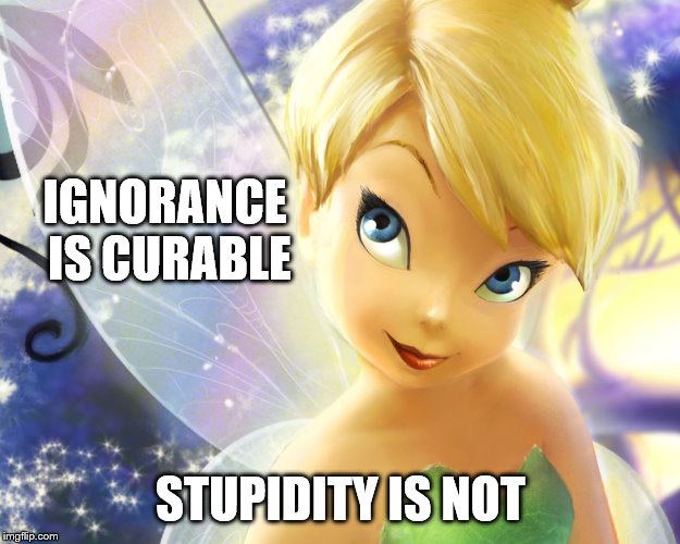 IGNORANCE IS CURABLE STUPIDITY IS NOT | made w/ Imgflip meme maker